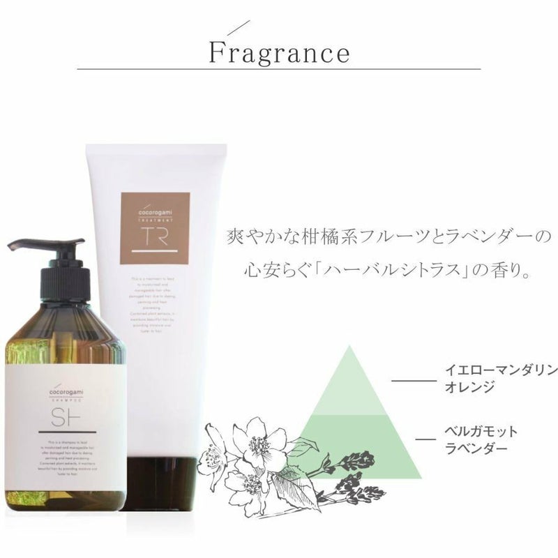 シャンプー 美容室 専売品 詰替用 apish ボタニカル シャンプー 心髪 ノンシリコン リフィル 700mL