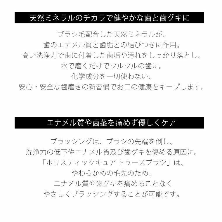 歯ブラシ ホリスティックキュア トゥースブラシ 単品 ブラック 黒