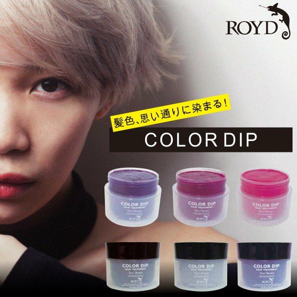 ロイド カラー ディップ ROYD COLOR DIP トリートメント 200g